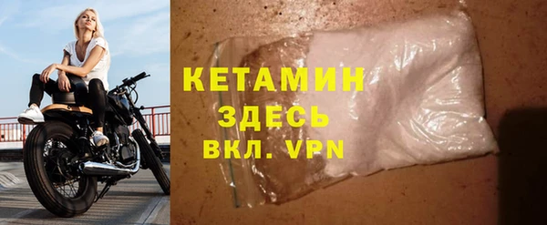 прущие грибы Покровск