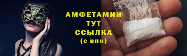 прущие грибы Покровск