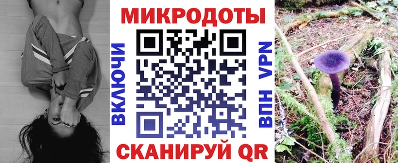 Псилоцибиновые грибы мухоморы  Тутаев 